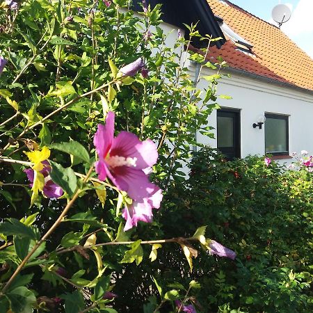 B & B Hygge Stoense Exterior photo